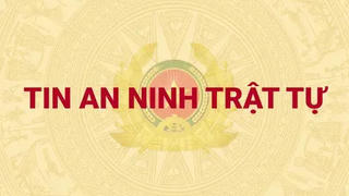 Đề nghị truy tố vắng mặt bị can truy nã Nguyễn Công Minh trong vụ án 'Cây xanh Công Minh'