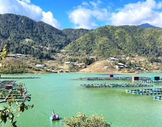 Vụ ô nhiễm hồ Séo Mý Tỷ (Lào Cai): Xử phạt 45 triệu đồng Công ty Cổ phần Cá tầm – Cá hồi Sa Pa 