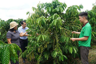 Lâm Đồng giữ vững mạch chảy tín dụng chính sách, bước vào Xuân 2026 đầy khí thế