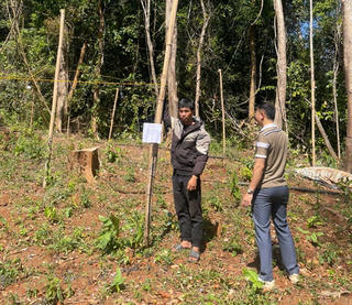 Khởi tố nam thanh niên trồng hơn 760 cây cần sa ở Lâm Đồng 