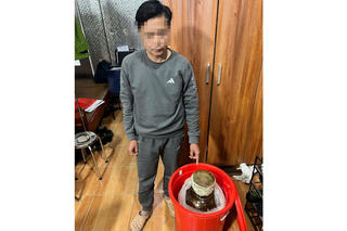 Đối tượng mua bán rắn Hổ mang chúa ngâm rượu bị khởi tố