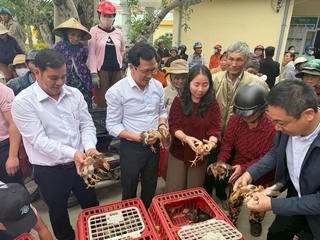 C.P. Việt Nam trao 20.000 con gà giống, 65 tấn thức ăn giúp người dân Đắk Lắk tái thiết sinh kế sau thiên tai