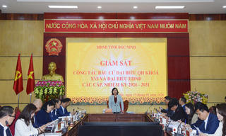 HĐND tỉnh Bắc Ninh giám sát công tác chuẩn bị bầu cử tại Kinh Bắc, Vũ Ninh, Võ Cường
