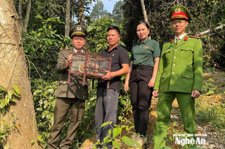 Phân loại và tiêu chí xác định loài nguy cấp, quý, hiếm