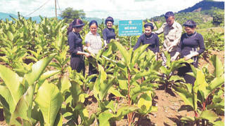 Tín dụng chính sách thông suốt, tiếp sức giảm nghèo trên vùng cao Bắc Kạn
