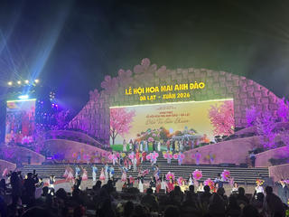 Khai mạc Lễ hội Hoa Mai anh đào – Đà Lạt xuân 2026