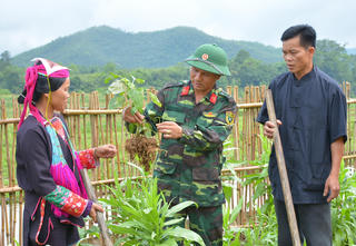 Triển khai Đề án giáo dục, tuyên truyền về Quân đội tham gia lao động sản xuất