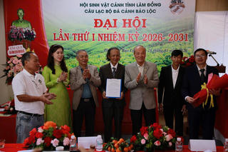 Thêm sân chơi cho người đam mê đá cảnh ở Lâm Đồng