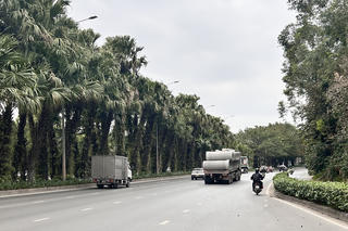 Thời tiết ngày 19/1: Bắc Bộ chuẩn bị đón không khí lạnh tăng cường