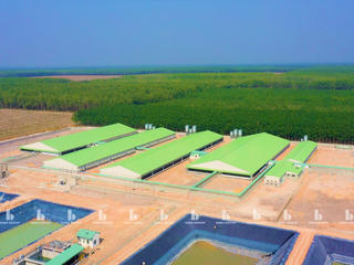 Gia Lai sẽ có 2 dự án trang trại chăn nuôi gần 350 tỷ đồng