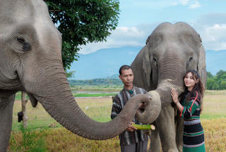 Đắk Lắk xây dựng nhiều chương trình kích cầu du lịch