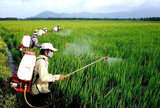 Điều kiện mới để sản xuất, buôn bán thuốc bảo vệ thực vật là gì?