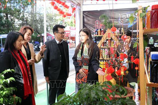 UBND TP HCM: Yêu cầu báo cáo hàng ngày công tác bình ổn giá thị trường trong dịp Tết
