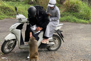 Du khách cho động vật hoang dã ăn tại khu du lịch: Đi ngược với nguyên tắc bảo tồn