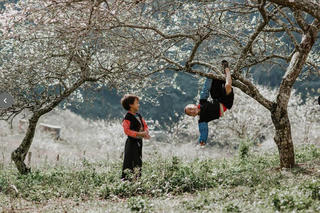 Hẹn mùa hoa xuân trên những rẻo cao miền Bắc