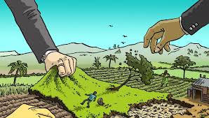 Thủ tục chuyển đất nông nghiệp sang đất ở
