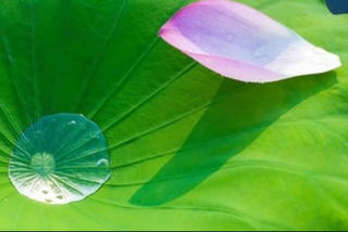 Tâm an vạn sự an Tâm an vạn sự an