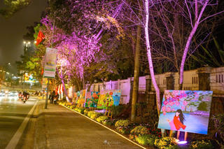 Phố núi lung linh với “Đường hoa ánh sáng, nghệ thuật”