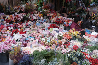 Hà Nội: Tổ chức chợ hoa xuân phục vụ Tết Nguyên đán Bính Ngọ năm 2026