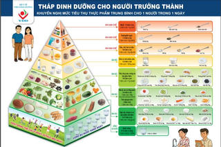 Ra mắt nền tảng thông tin số, thúc đẩy dinh dưỡng lành mạnh, bền vững
