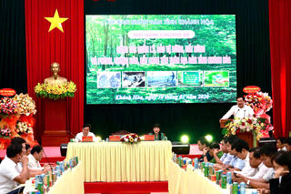 Khánh Hòa siết quản lý rừng và ngăn chặn săn bắt chim yến trái phép