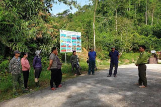 Trình tự, thủ tục giao rừng, cho thuê rừng từ 26/1