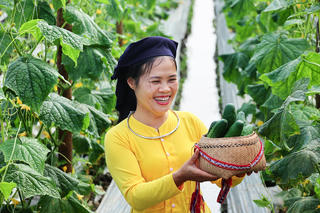 Nghĩa Đô (Lào Cai): Ở nơi cây dưa leo bén rễ trên đất Tày cổ