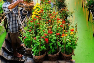 Rước xuân về Rước xuân về