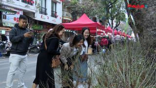 Chợ hoa xuân Tết 2026: Đông người xem, vắng khách mua Chợ hoa xuân Tết 2026: Đông người xem, vắng khách mua