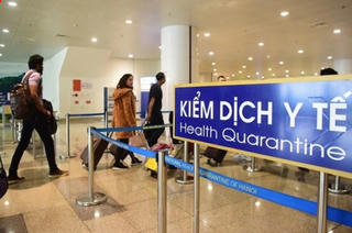 Hà Nội tăng cường giám sát, phòng chống dịch bệnh do vi rút Nipah