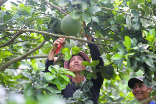 Xã Trảng Bom (Đồng Nai) hướng tới phát triển nhanh, bền vững