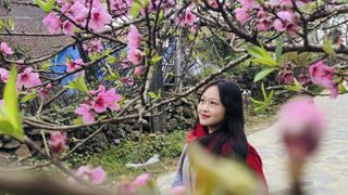 Sắc xuân trên bản du lịch Sì Thâu Chải