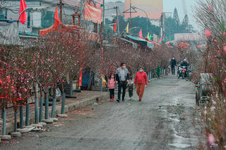 Dự báo mới nhất xu thế thời tiết dịp Tết Nguyên đán Bính Ngọ