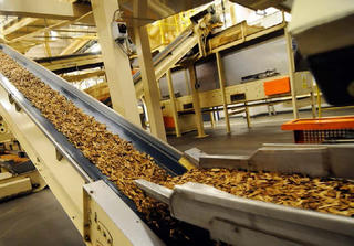 Bộ Công Thương ấn định hạn ngạch nhập khẩu gần 80.000 tấn thuốc lá nguyên liệu năm 2026