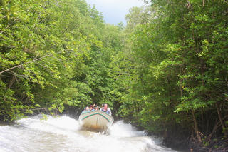 Phát triển du lịch Cà Mau bền vững gắn với bảo tồn di sản