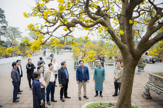 Chủ tịch UBND TP Huế kiểm tra công tác chuẩn bị các không gian văn hóa Xuân Bính Ngọ 2026