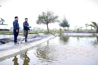 Làng cá chép đỏ Ninh Châu (Quảng Trị) hối hả phục vụ Tết ông Công, ông Táo