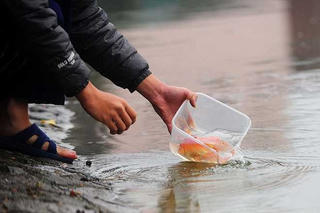 Thời tiết các khu vực trong cả nước ngày ông Công, ông Táo và dịp Tết Bính Ngọ