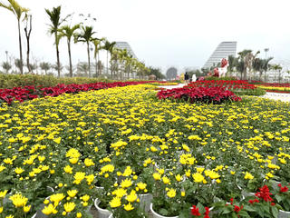 'Check-in' Hải Phòng tại quảng trường Trung tâm Chính trị – Hành chính bên bờ Bắc Sông Cấm