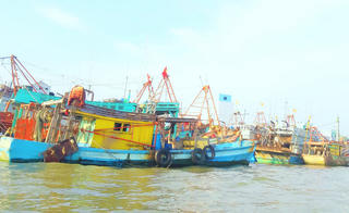 Năm 2025,  xã Sông Đốc (Cà Mau) đạt và vượt 16/17 chỉ tiêu