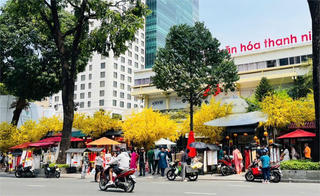 Du xuân giữa lòng TP. Hồ Chí Minh Du xuân giữa lòng TP. Hồ Chí Minh