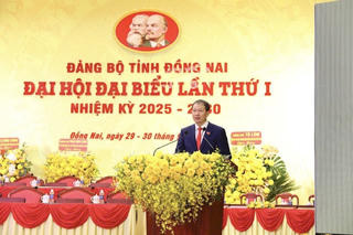 Đồng Nai - “mã đáo thành công” trong kỷ nguyên vươn mình