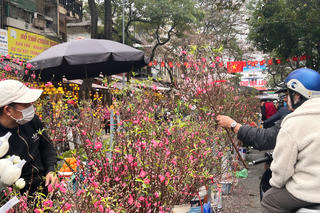 Thời tiết ngày 16/2: Bắc Bộ có nắng trước khi đón không khí lạnh