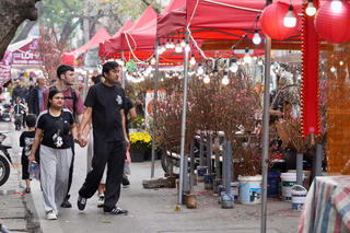 Chợ Hoa xuân Phố cổ 2026: Điểm hẹn kết nối truyền thống