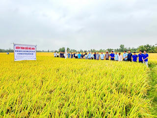 Xã Vĩnh Mỹ (Cà Mau): Tạo nền tảng vững chắc cho nhiệm kỳ phát triển mới