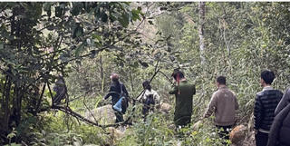 Xuyên đêm tìm kiếm 4 du khách lạc trong rừng nguyên sinh Tây Yên Tử