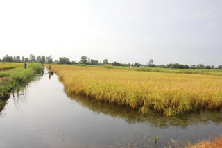 Xã U Minh (Cà Mau) nỗ lực vượt khó, hoàn thành và vượt nhiều chỉ tiêu Nghị quyết