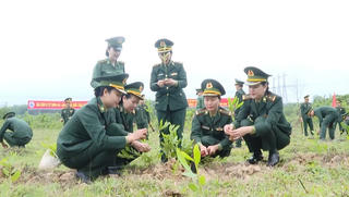 Gieo màu xanh đầu Xuân nơi tuyến đầu Tổ quốc