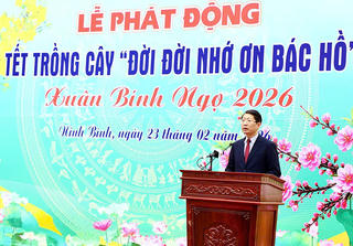 Ninh Bình đồng loạt tổ chức lễ phát động Tết trồng cây năm 2026