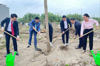 Hải Phòng đồng loạt phát động “Tết trồng cây đời đời nhớ ơn Bác Hồ” xuân Bính Ngọ